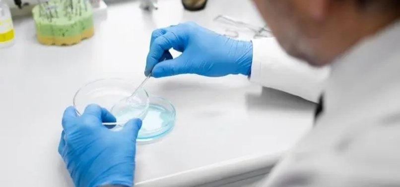 806x378 in world 1st australian scientists grow human skin with blood supply 1755774965771